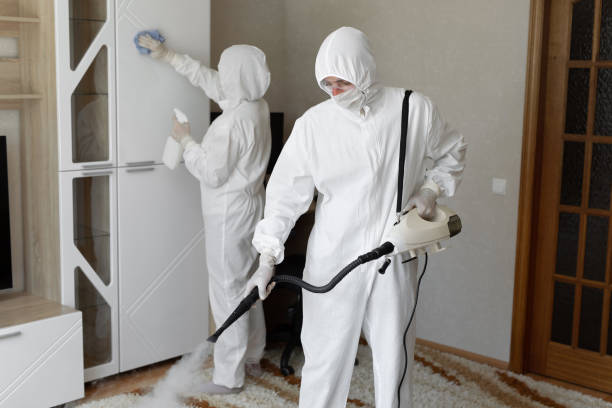Best Certified Mold Removal  in Urbana, IA